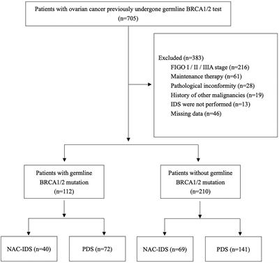 Effects of Neoadjuvant Chemotherapy in Ovarian Cancer Patients With Different Germline BRCA1/2 Mutational Status: A Retrospective Cohort Study